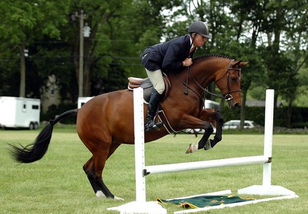 Jump Horse