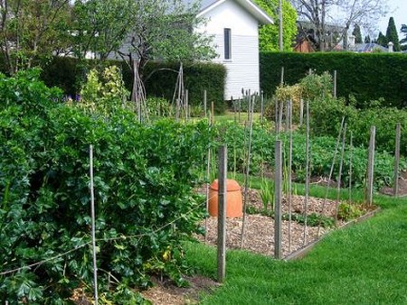 Mulch Garden 