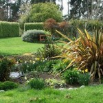 How to Choose and Use a New Lawn in Your