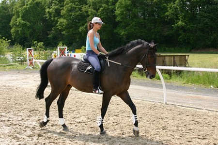 Ride Horse