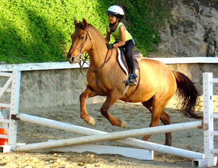 Riding Advanced Level