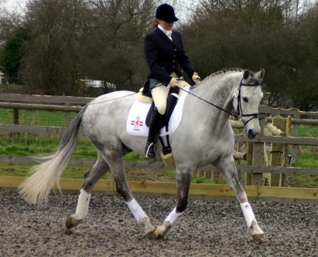 Riding a Horse