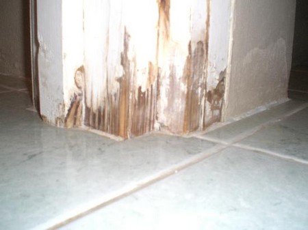 Rotten Frame  External Door