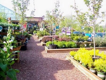 Trees and Shrubs garden 