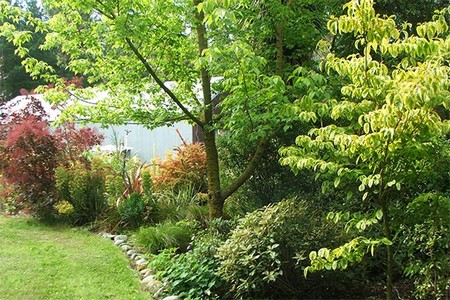 Trees and Shrubs garden