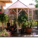 How to Build an Aviary