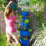 How to Water your Garden Container