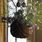 How to Hang a Flower Basket