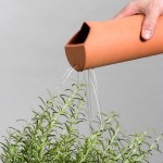 How to Water House Plants