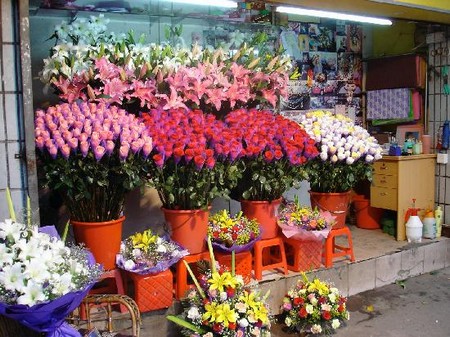 Flower Store on How To Start A Flower Shop Start Flower Shop