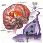 How to Teach Adults with ADHD to Focus