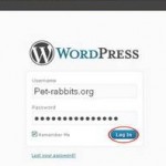 How to Access Wordpress Admin Panel