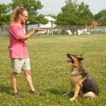 How to Train your Dog to Come and Sit