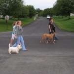 How to Train your Dog to Walk by Your Side
