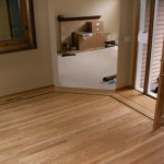 How to Choose a Hard Floor Covering for your House 