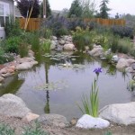 How to Install a Lined Pond