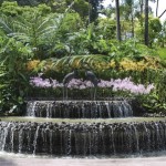 How to Build a Good Waterfall in your Garden 