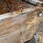 How to Treat Wet Rot