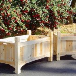 How to Plant in Containers