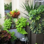 How to Add Visual Effect to Your Balcony Garden 