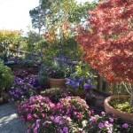How to Change Composts in Container Garden