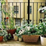 How to Decorate Screening in Your Balcony Garden