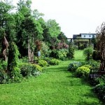 How to Design Your Dream Garden