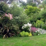 How to Plant Your Garden in Summer