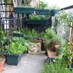 How to Design a Mini Kitchen Garden Balcony 
