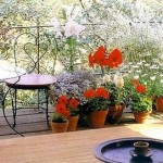 How to Maintain a Balcony Garden