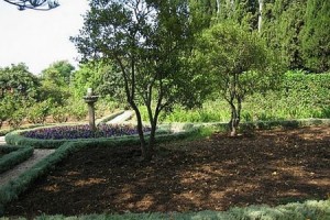 How to Measure and Draw Your Garden Plan