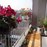 How to Choose Plants for Balcony Garden