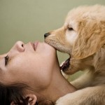 How to Reduce Stress with Pets