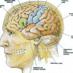 How to Treat Schizophrenia