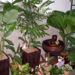 How to Create a Pleasing Sense of Seclusion in Your Balcony Garden