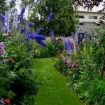 How to Design a Sloping Garden