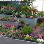 How to Design a Small Garden
