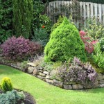How to Maintain a Small Garden