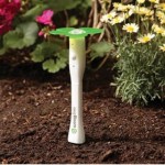 How to Improve Soil Drainage in Herbs Garden