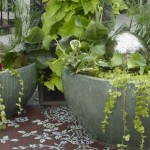 How to Feed and Water for Container Garden 