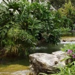 How to Add Water Features in Balcony Garden