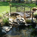 How to Add Water Features in Your Garden