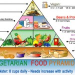 How To Become a Vegetarian