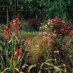 How to Assess Your First Garden