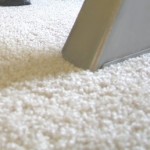 How to Care for the Carpet in Your House