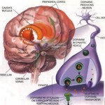 How to Treat Attention Deficit Disorder (ADD) in Children