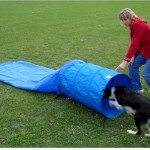 How to Train your Dog to find Things