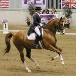 How to Participate in Dressage 