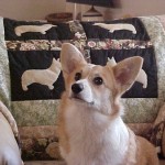 How to Teach your Dog the "Drop" Command