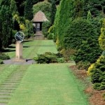 How to Prevent Garden Accidents